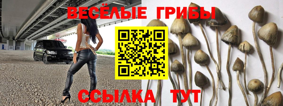 Псилоцибиновые грибы Magic Shrooms  хочу наркоту  Ивантеевка  Галлюциногенные грибы ЛСД  Вход с VPN 