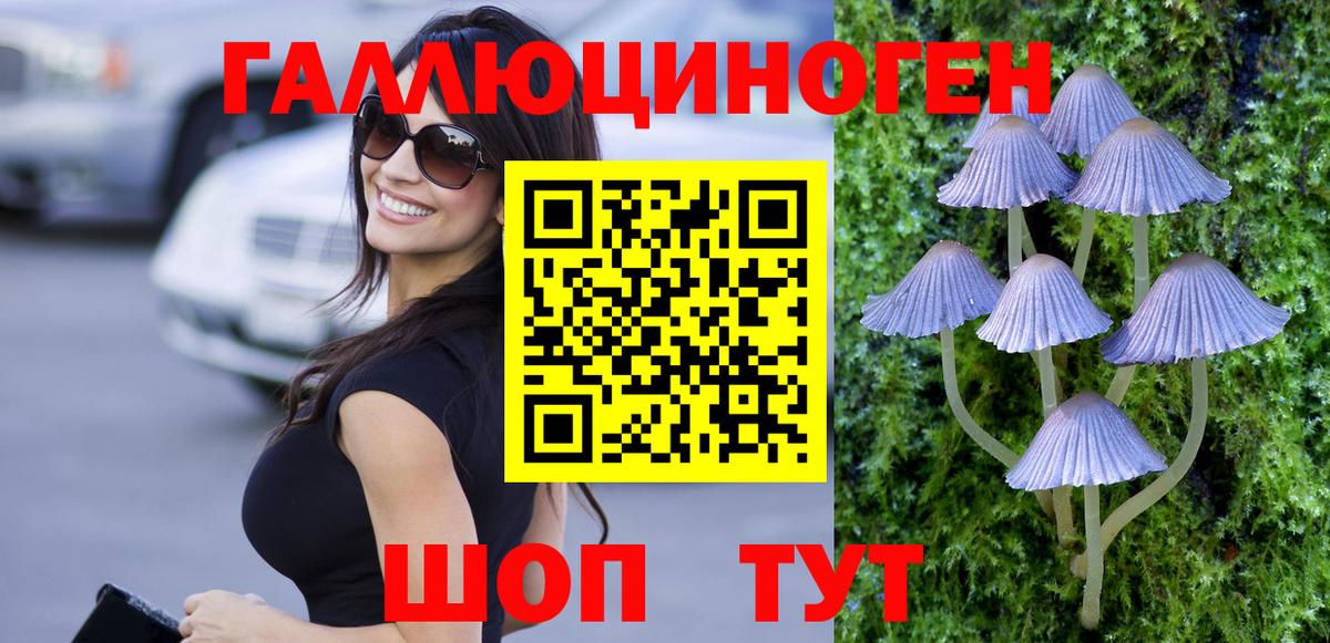 Псилоцибиновые грибы GOLDEN TEACHER Ивантеевка